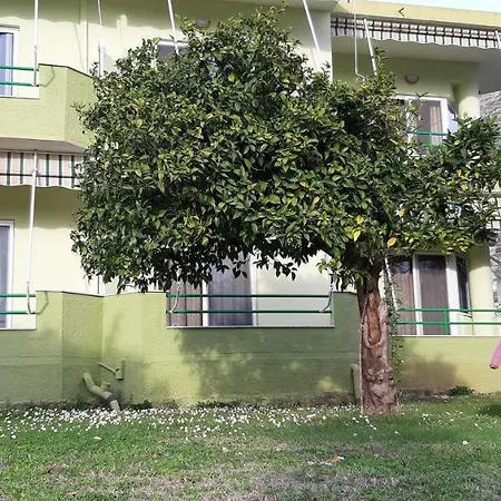 Akil Noga Casa de Campo Borsh