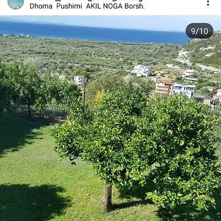Akil Noga Borsh